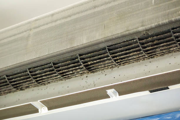 Best Duct Cleaning Specialists  in Monticello, IN
